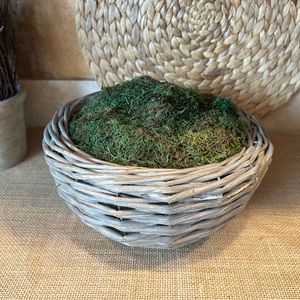 Moss arrangement in gray woven planter
